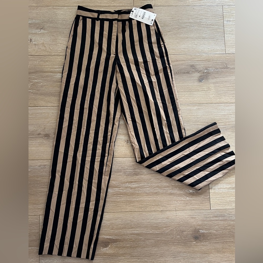 NWT ZARA Pants